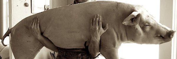 Pig Butchery