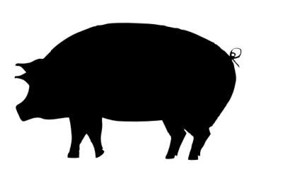 HALF PIG, $9 Per Lb, 100 lbs